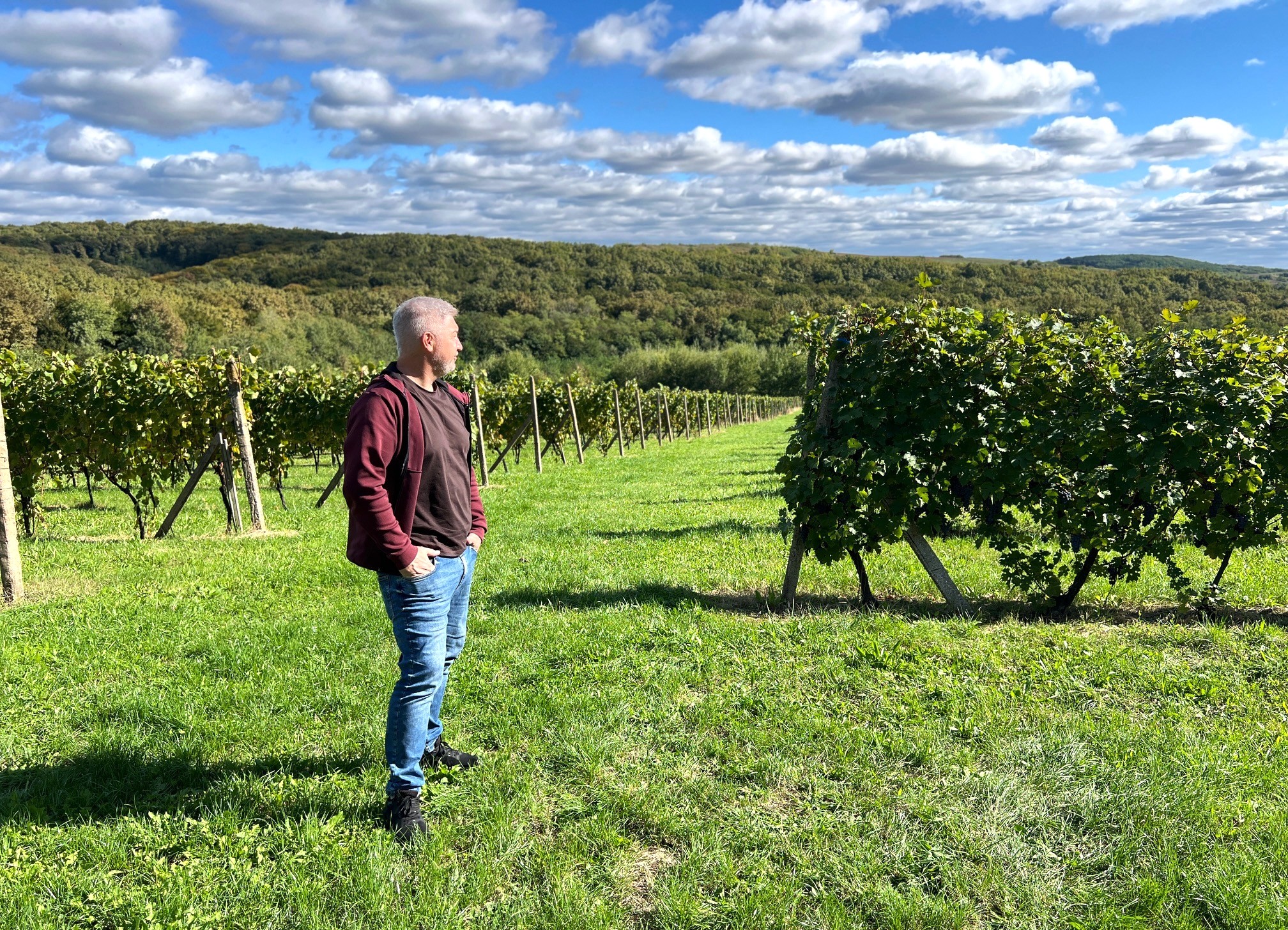 10 українських виноробень, про які варто дізнатися більше