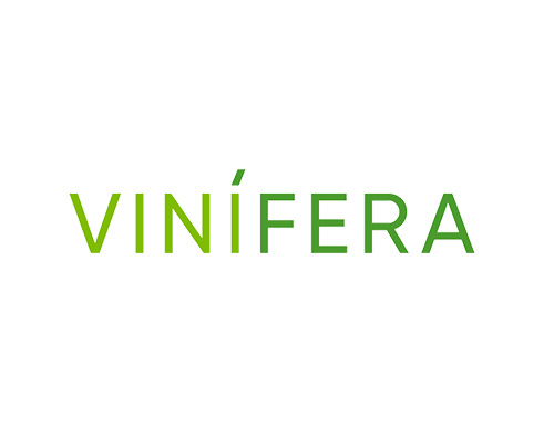 Виноробня Vinifera