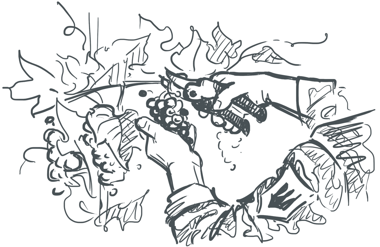 
Що цікавого у поведінці винолюбів у 2025 році?